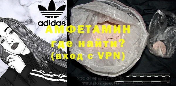 сатива Дедовск