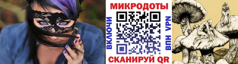 Псилоцибиновые грибы Psilocybine cubensis  Купить закладки  Дмитров 